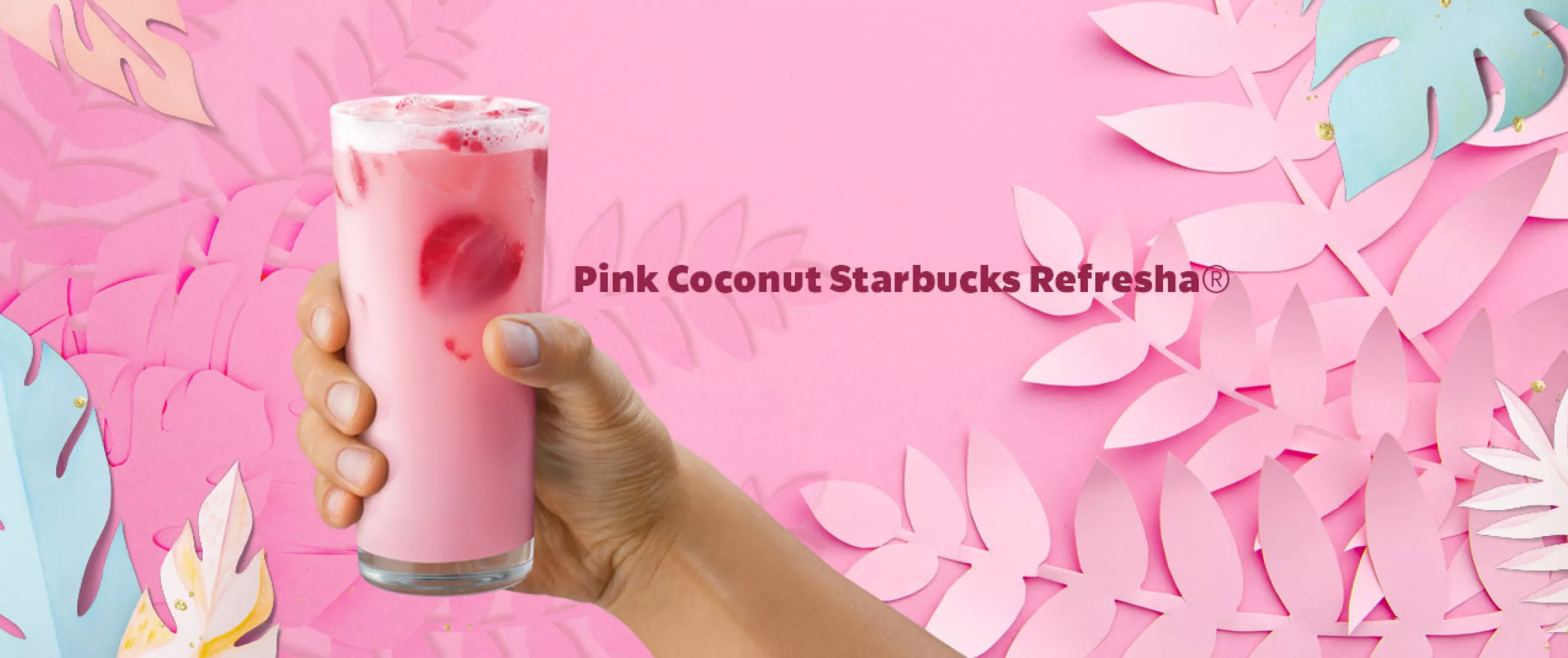 Pink Coconut Starbucks Refresha in UAE