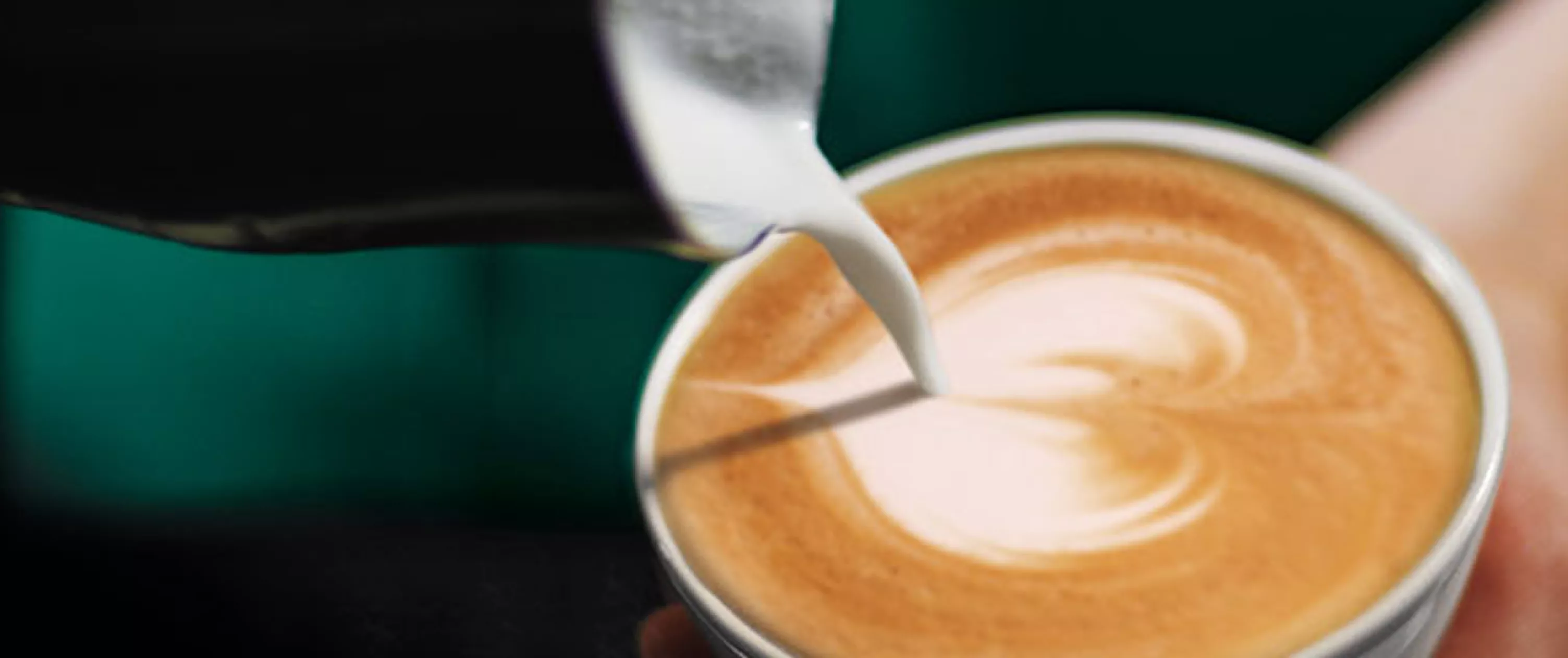 Starbucks Allergens