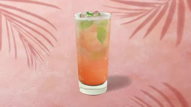 Strawberry Lemon Mint Breeze