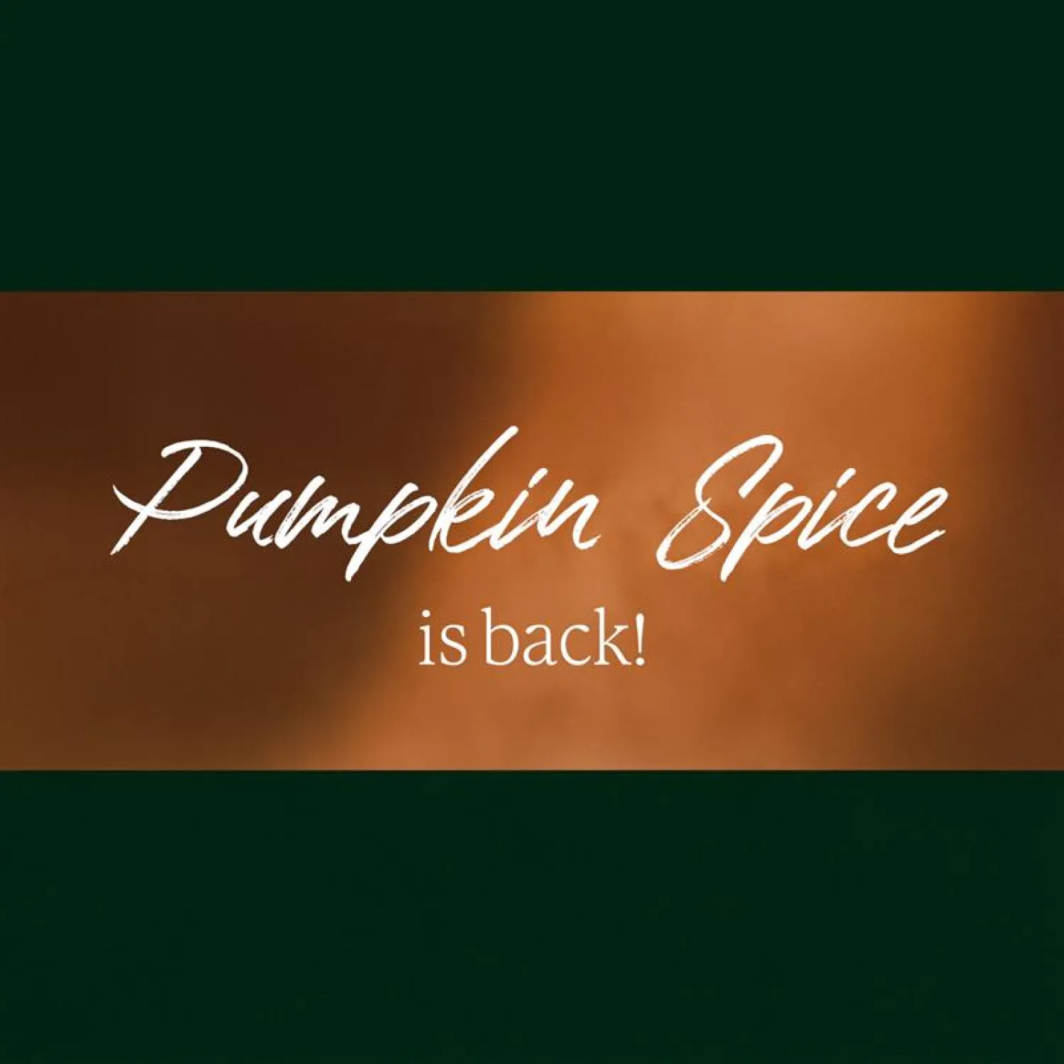 Pumpkin Spice is back!