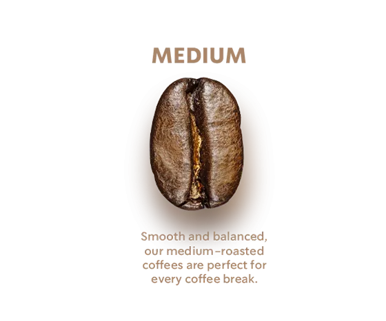 Medium Roast